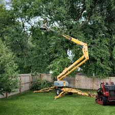 Best Tree Disease Treatment  in Granite Falls, MN